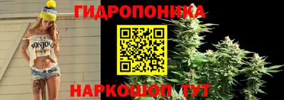 МДПВ Анжеро-Судженск