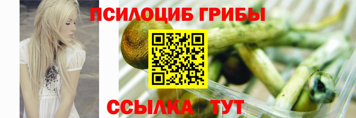 Галлюциногенные грибы прущие грибы  хочу наркоту  Вход с VPN  Астрахань  Галлюциногенные грибы Magic Shrooms 
